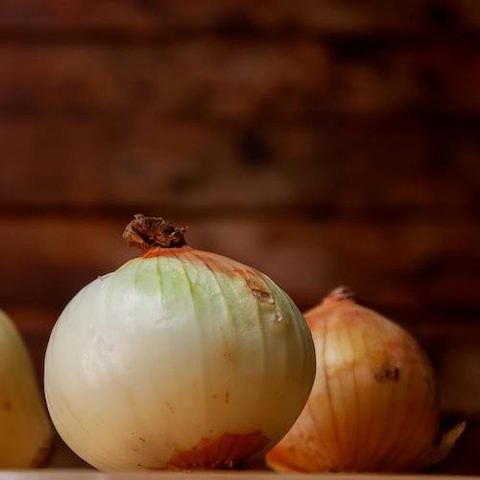 stuffed onions