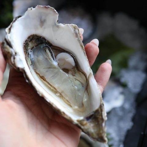 Oysters with Cheese