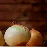 stuffed onions