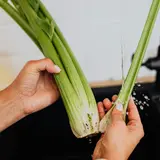 Cream of Celery Soup