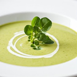 Cream of Watercress Soup